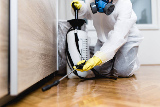 Best Residential Pest Control  in Northbrook, OH