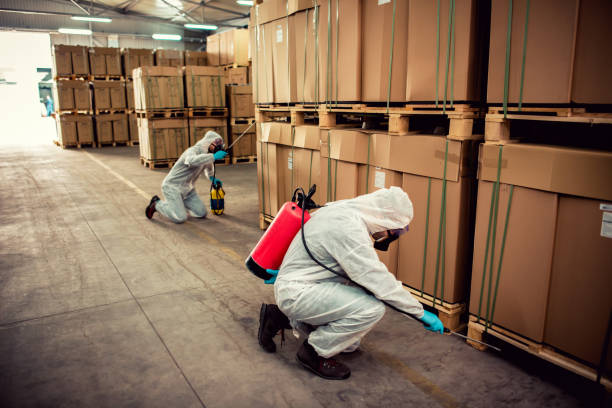 Best Pest Removal Services  in Northbrook, OH