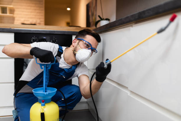 Best Best Pest Control Companies  in Northbrook, OH