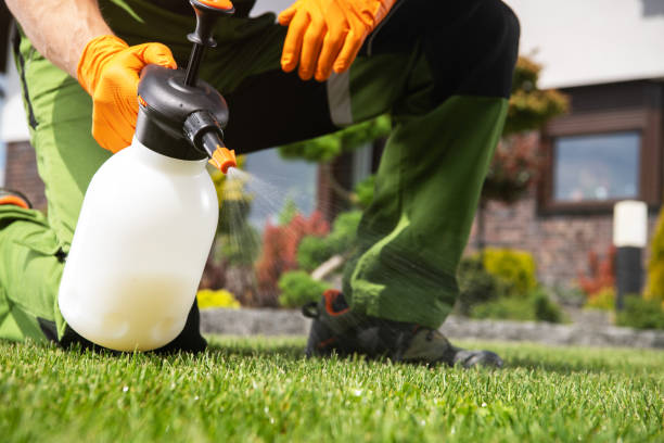 Best Best Pest Control Companies  in Northbrook, OH