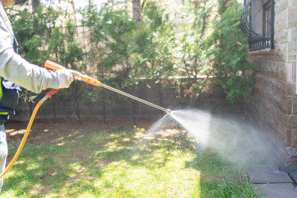 Best Emergency Pest Control  in Northbrook, OH