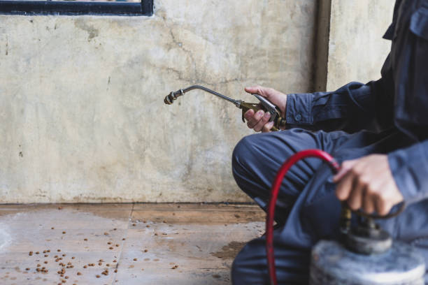 Trusted Northbrook, OH Pest Control Experts
